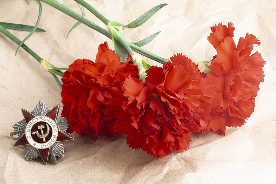Цветок поддержки: присоединитесь к благотворительной акции «Красная гвоздика», чтобы помочь ветеранам Великой Отечественной войны