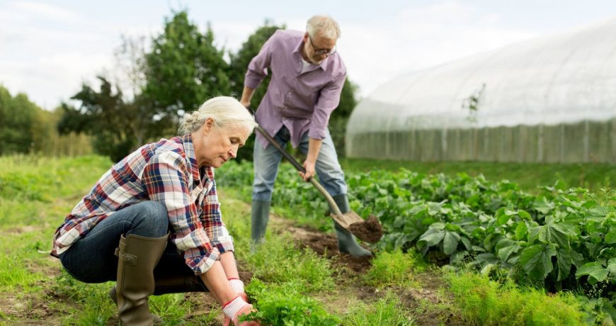 Дача отменяется: симптомы, при которых надо отказаться от поездки