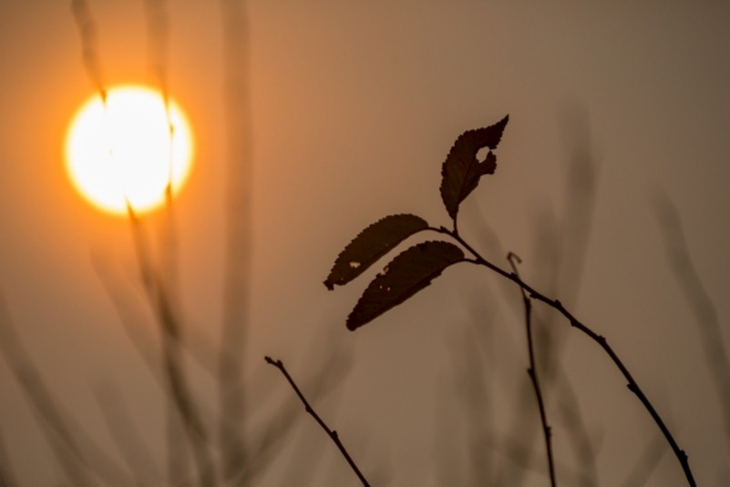 Главный синоптик Приморья дал предварительный прогноз на длинные майские выходные