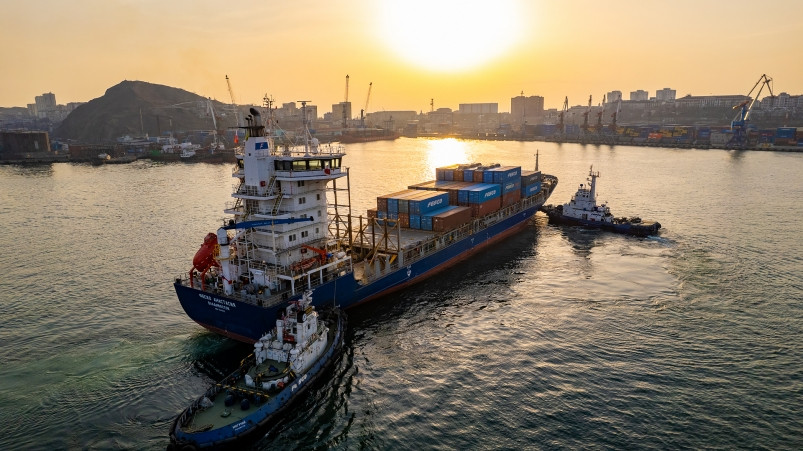 История с перспективой