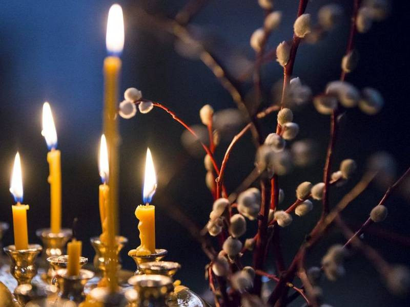 Как посадить денежное дерево в Вербное воскресенье для привлечения денег