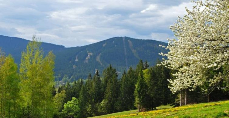 Какой церковный праздник сегодня 26 апреля 2023 года в России и в мире