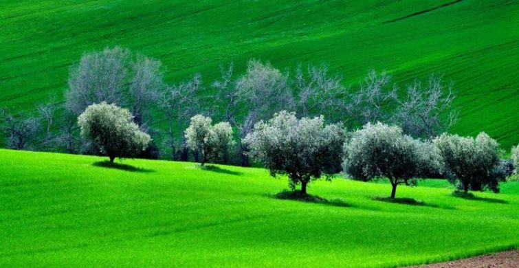 Какой праздник сегодня, 26 апреля 2023 года отмечают в России и мире