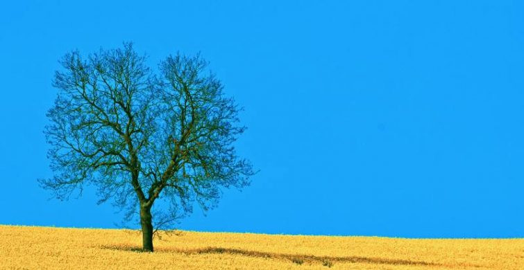 Какой сегодня праздник: 27 апреля 2023 года отмечается несколько праздников в России и в мире