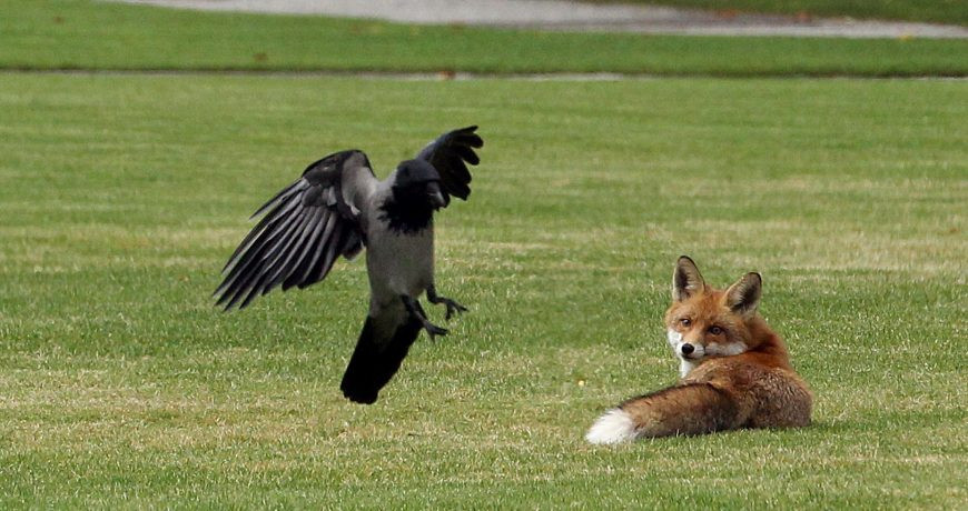 Кому из святых читают молитвы в церковный праздник 27 апреля 2023 года, запреты дня