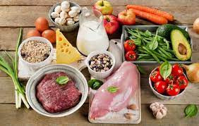 Московские школьники посещают мастер-классы по правильному питанию - Новая общественная газета