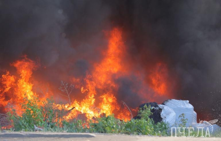 На Южном Урале ликвидировали масштабный лесной пожар площадью 200 гектаров
