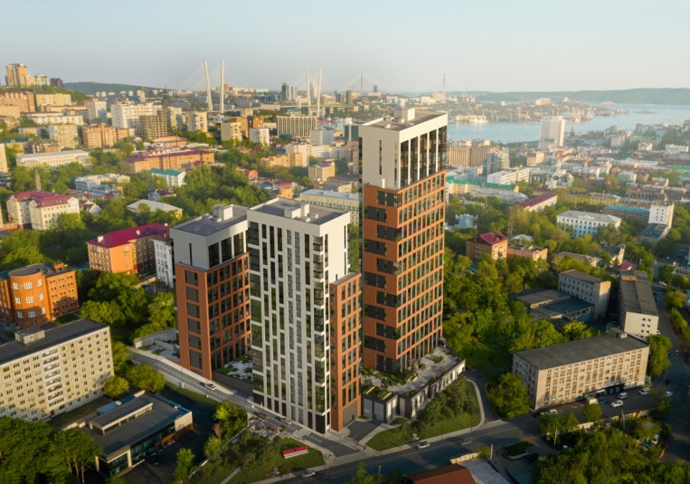 Novatoria: порядок в подарок