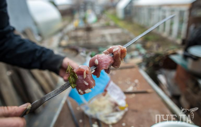 Нутрициолог рассказала, как минимизировать риск отравления шашлыками