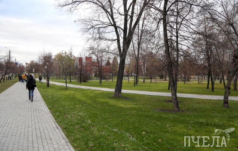 Огромные лежаки-подушки могут появиться на газонах в сквере на «Алом поле»