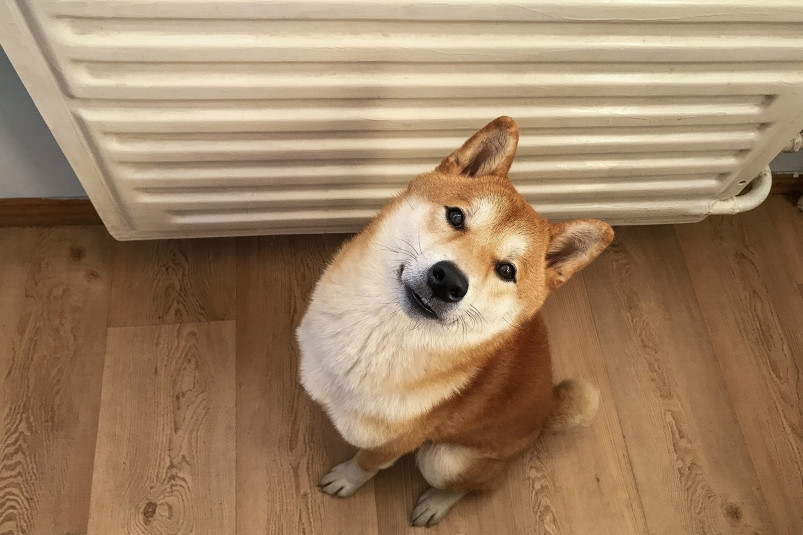 Отопительный сезон во Владивостоке собираются завершить 3 мая