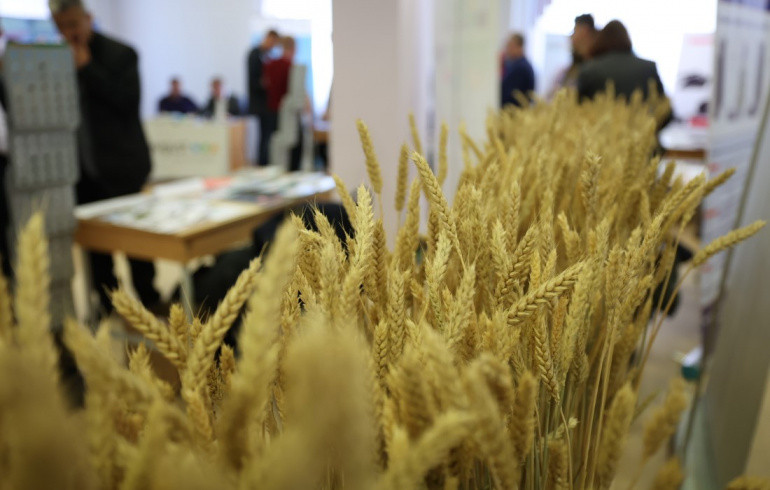 Ради богатого урожая аграрии Челябинской области увеличат пашню, посевы пшеницы и других культур