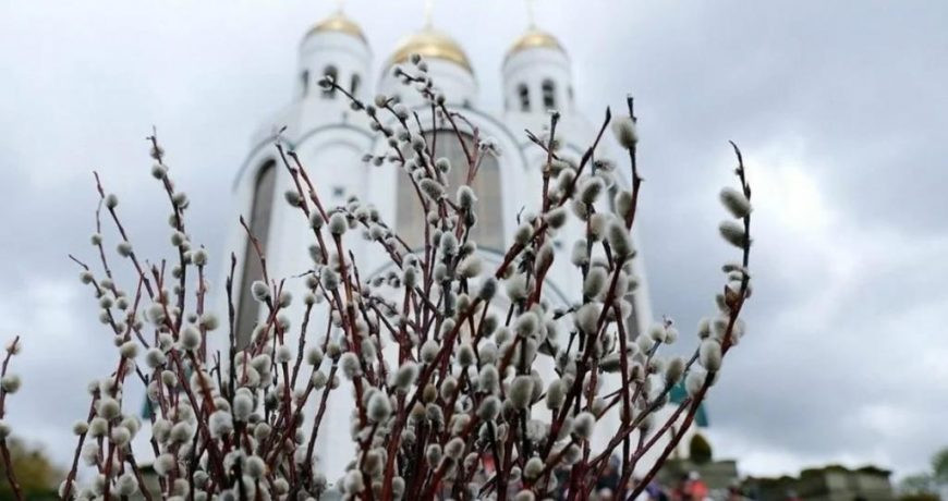 Разрешено ли заниматься дачными и земельными работами в Вербное воскресенье 2023