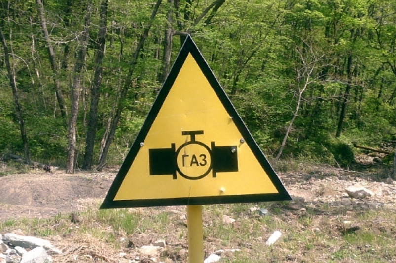 Россия намерена полностью отказаться от доллара и евро при расчетах за энергоресурсы