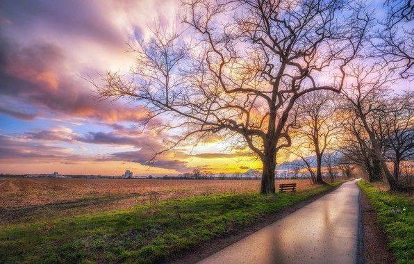 Сразу несколько интересных праздников отмечают в России и в мире 25 апреля