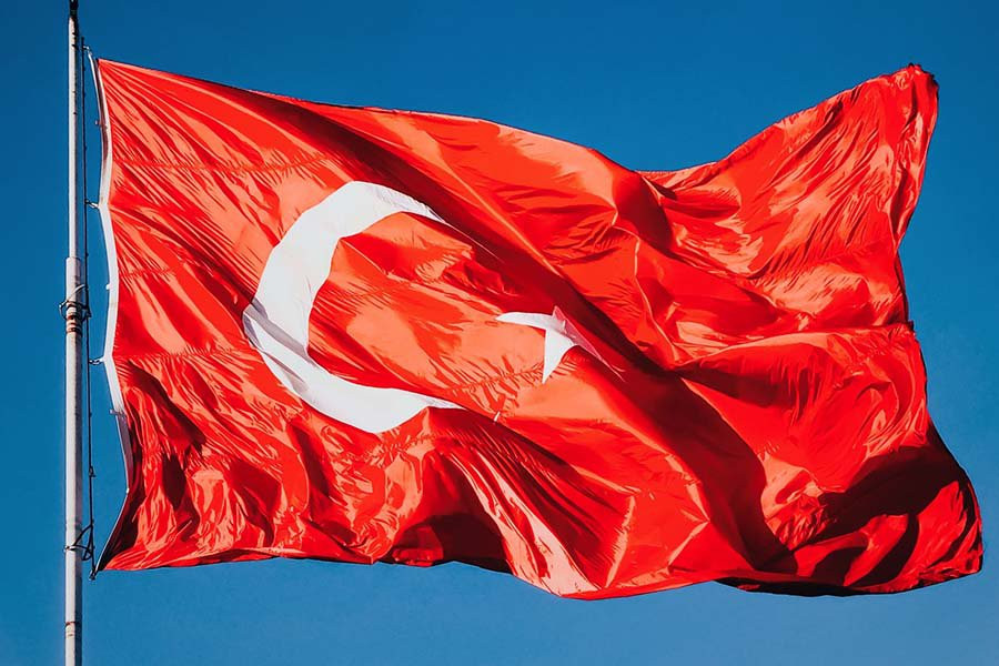 Стародубцев назвал самого понятного России кандидата на выборах в президенты Турции