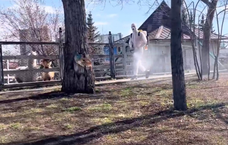 Территорию челябинского зоопарка обработали от клещей