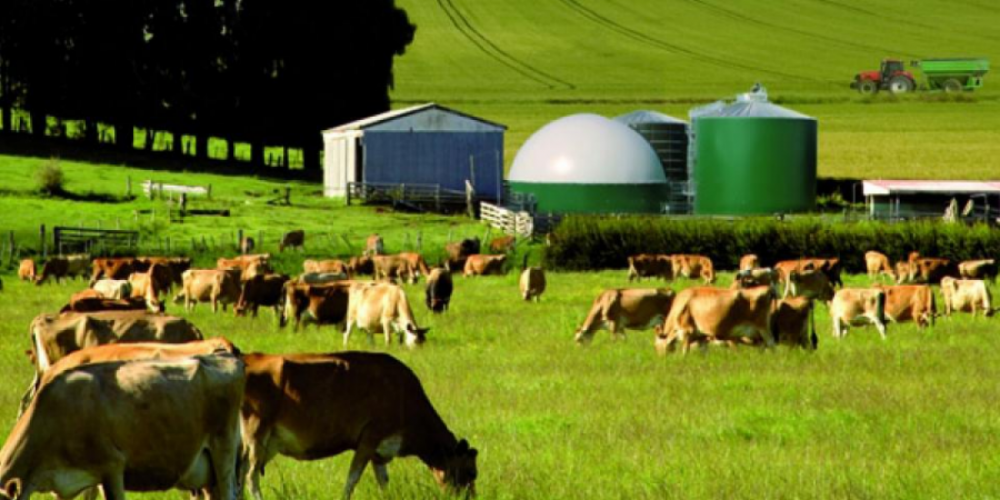 Цены сельхозпроизводителей в Германи выросли на 33,9%