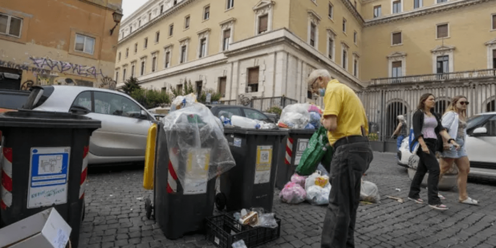 Европа: кабаны и мусор