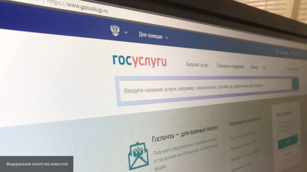 Эксперты назвали самые популярные среди россиян госуслуги