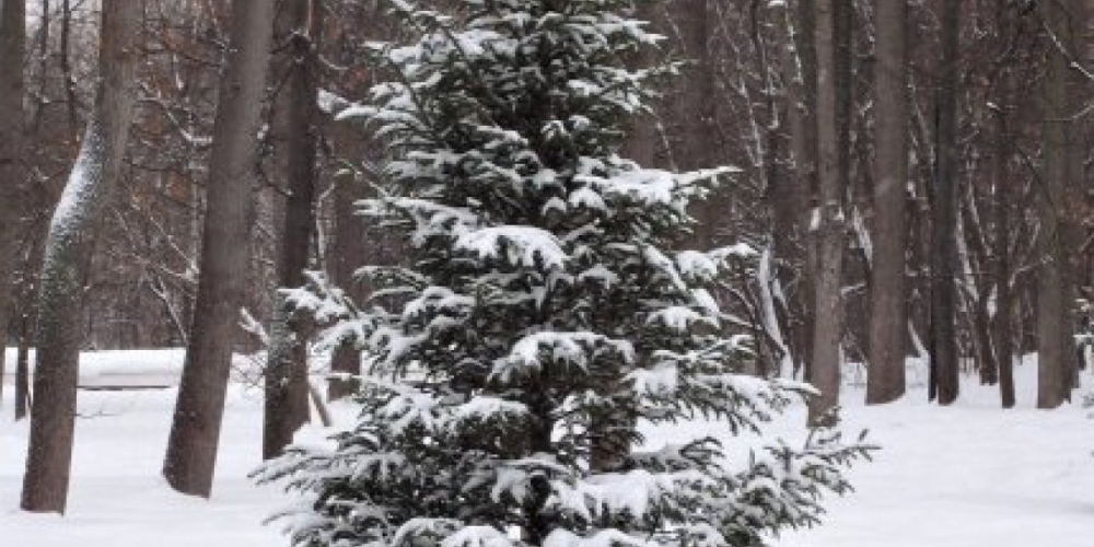 Кто больше пострадает от санкций, Запад или Россия