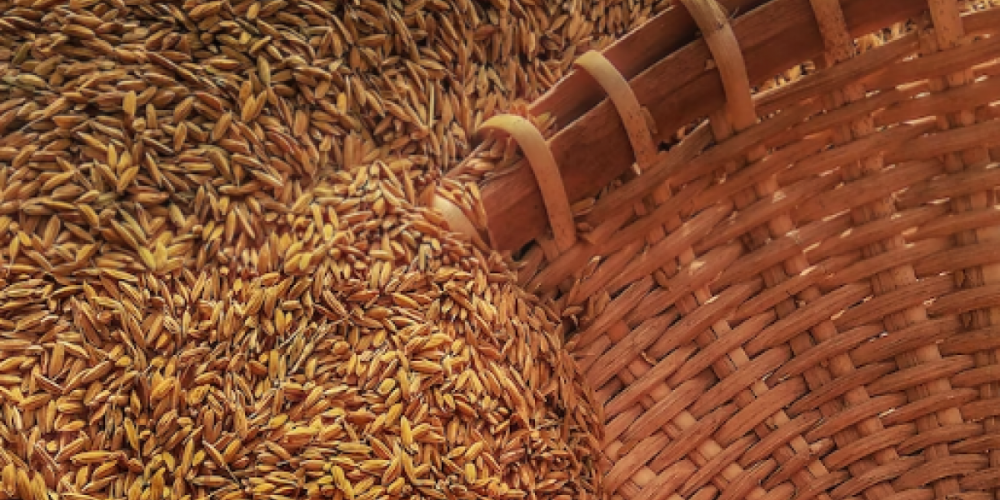 Кто покупал украинское зерно?