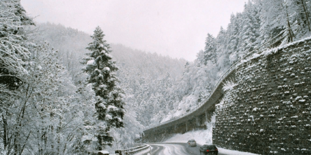 Падение экономики Германии в случае закрытия СП-2 неизбежно, в Китае ждут перенаправления газа в их сторону