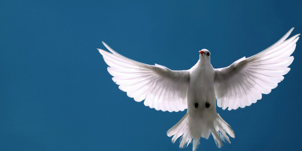 Предсказания, которые сбываются: Когда закончится конфликт на Украине