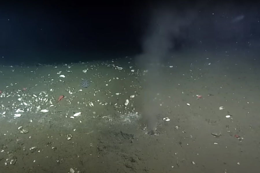 Трещина на дне Тихого океана угрожает побережью США мегаземлетрясением