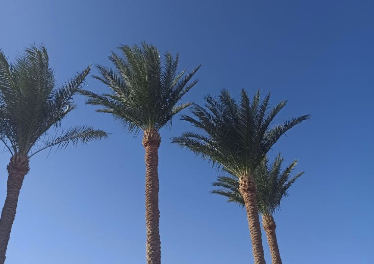 «ТурПром»: Смертельный вирус добрался до Европы и начал заражать туристов