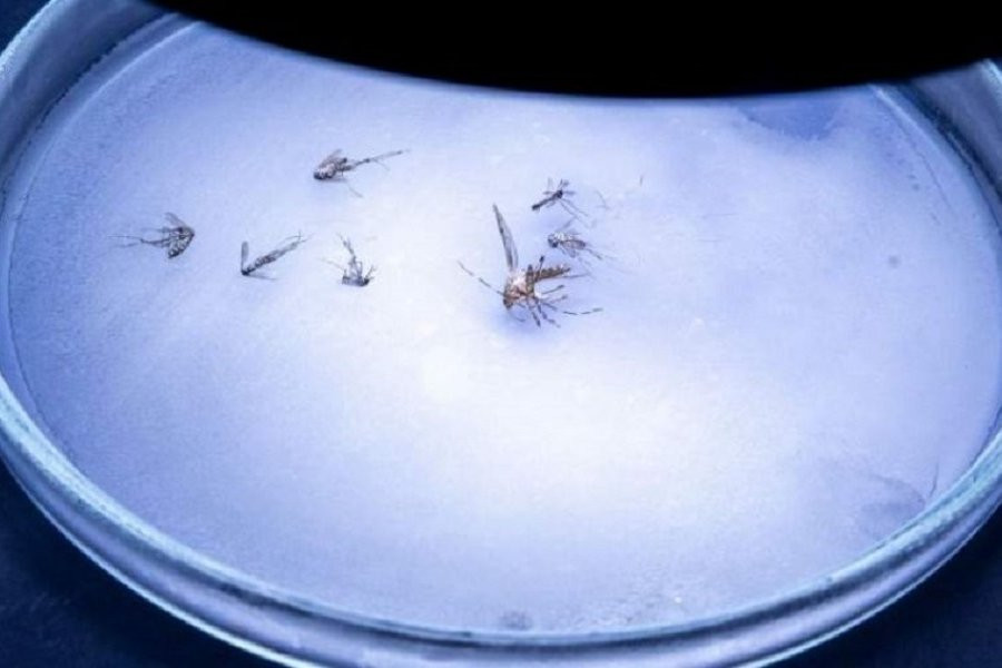 «ТурПром»: Смертельный вирус добрался до Европы и начал заражать туристов и жителей из других стран