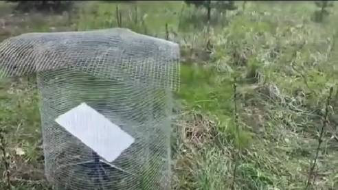 Украинские военные пытаются защитить станции Starlink от российских РЭБ при помощи самодельных ячеистых экранов