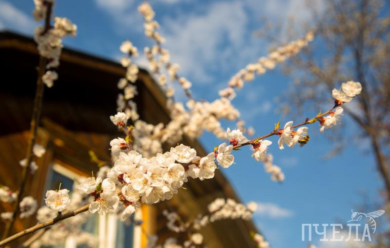 В Челябинской области на третий день 24-градусной жары пойдёт дождь