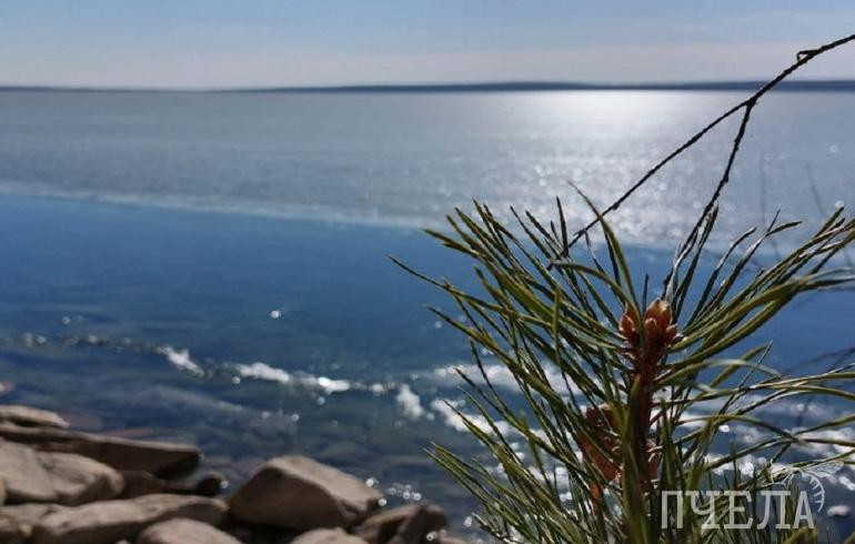 В Челябинской области неделя начнётся с потепления до +12, но ледяного ветра