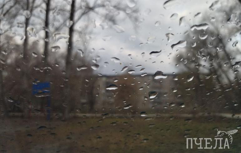 В Челябинской области потеплеет до +17 градусов, но пройдут дожди