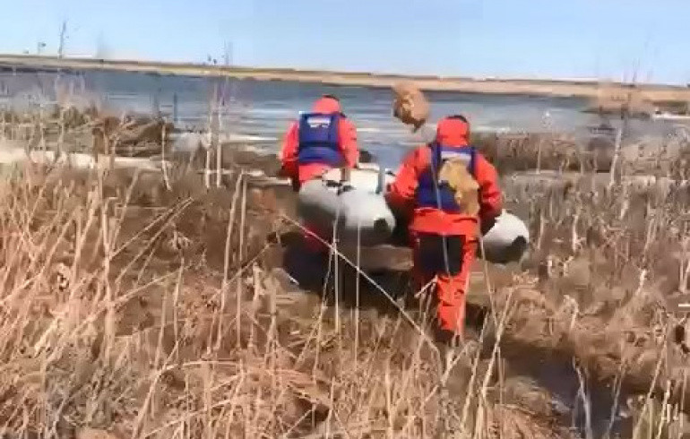 В Челябинской области утонул пенсионер, рыбачивший на тонком льду