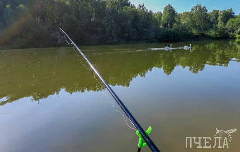 В Челябинской области ввели нерестовый запрет на рыбалку