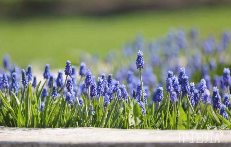 В Челябинскую область на смену жаре до +25 градусов придут дожди