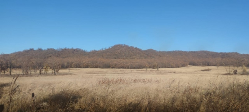 В Фокино по факту выдачи многодетным семьям “внедорожных” участков возбудили дело