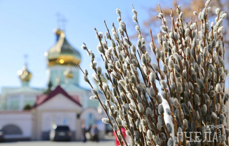 В преддверии Вербного воскресенья Челябинск украсили пушистыми веточками
