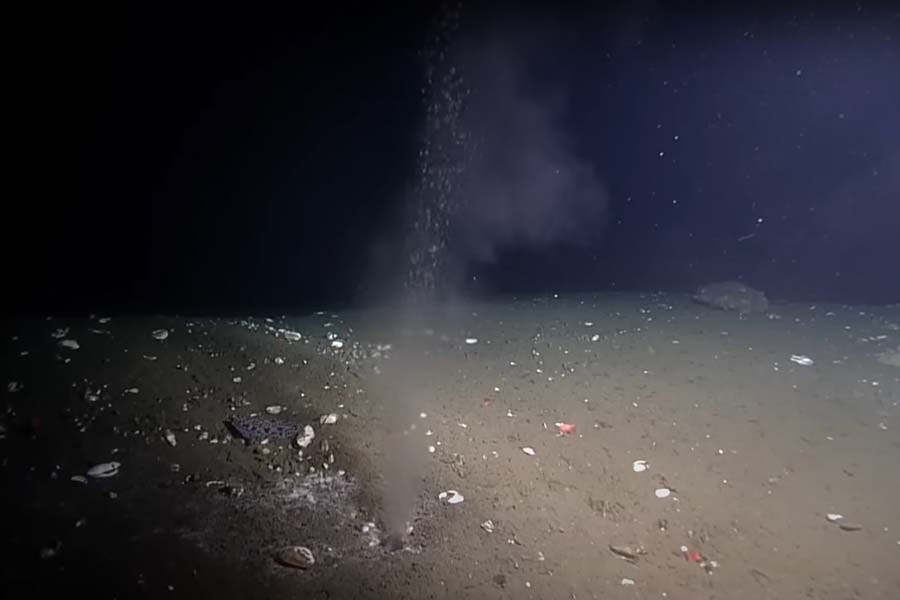 В Тихом океане обнаружен подводный «оазис» из поднимающейся со дна теплой жидкости