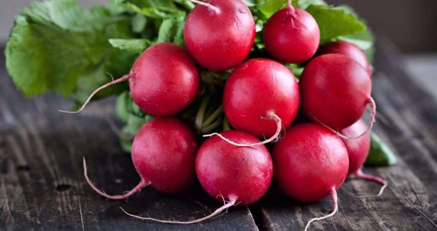 Выращиваем вкусный и сладкий редис: как правильно подкармливать этот овощ