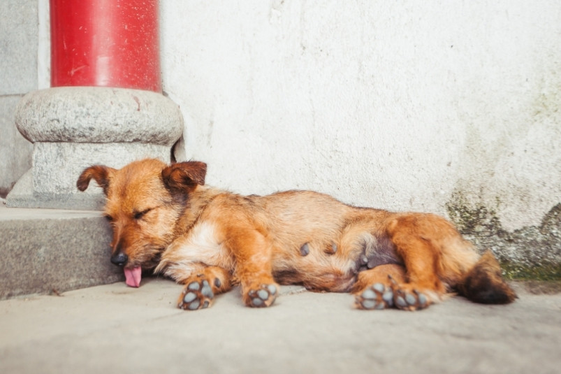 Жара до +20°C установится в Приморье уже завтра