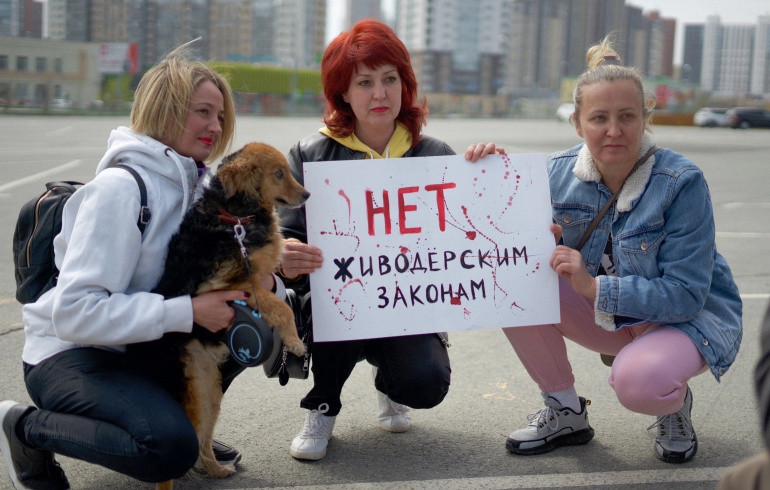 Более 300 южноуральцев выступили на митинге против жестокости по отношению к животным