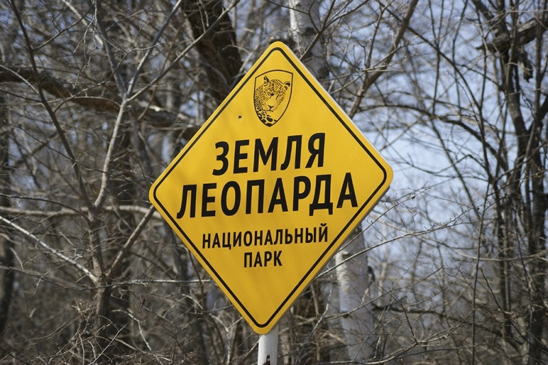 Дальний Восток 21 мая. Образован национальный парк “Земля леопарда”