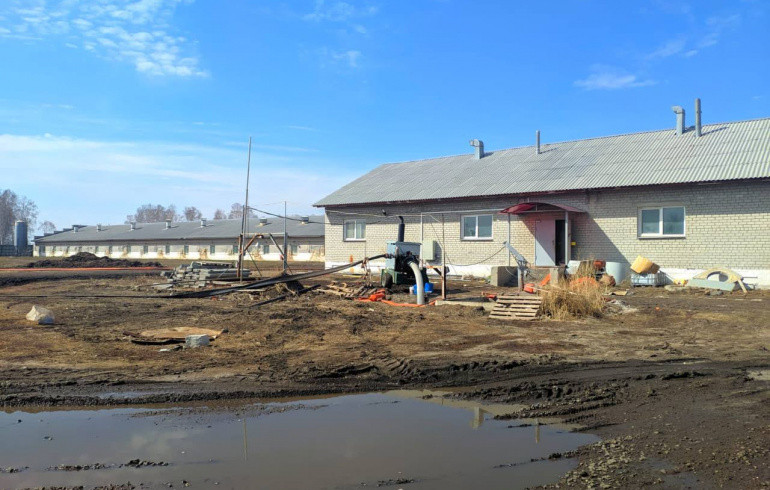 Директора челябинской компании осудят за смерть работников в свинарнике