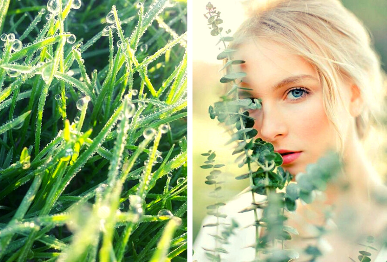 «Егорьевская роса»: как и зачем нужно умываться ею 6 мая