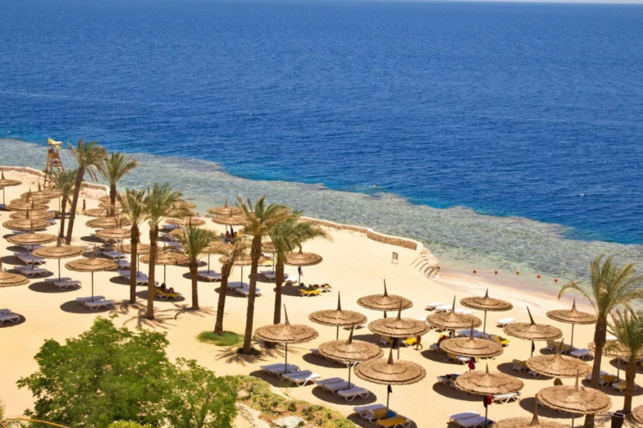 «ГЛАС.RU»: посетившая Египет туристка из РФ рассказала о хамском отношении к россиянам