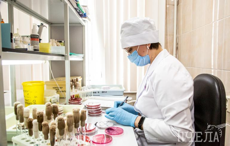 Ирина Гехт: корь подтверждена уже у 17 человек в Челябинской области