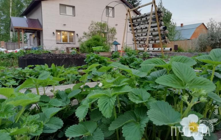 Как пожилым людям обезопасить себя в дачный сезон, рассказали в Минздраве